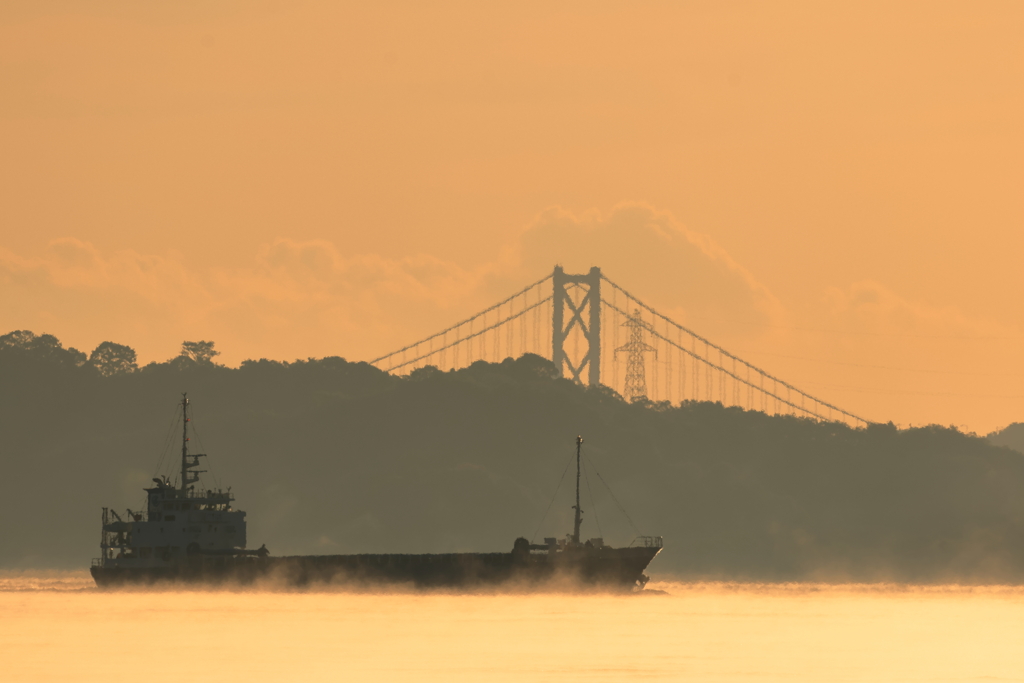 海霧の朝 251030-341