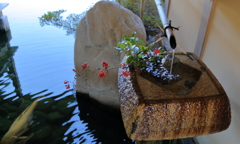 三景園(1) 17.02.28