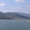 牡蠣筏の海  180223-070