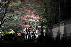 佛通寺ライトアップ(2) 181114-097