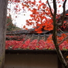 御調八幡宮 16.11.25