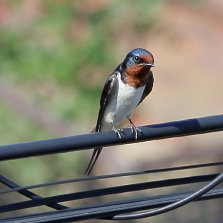 かっこよく、撮ってよ！　15.05.24