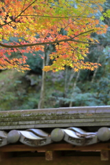 佛通寺(2) 16.11.09