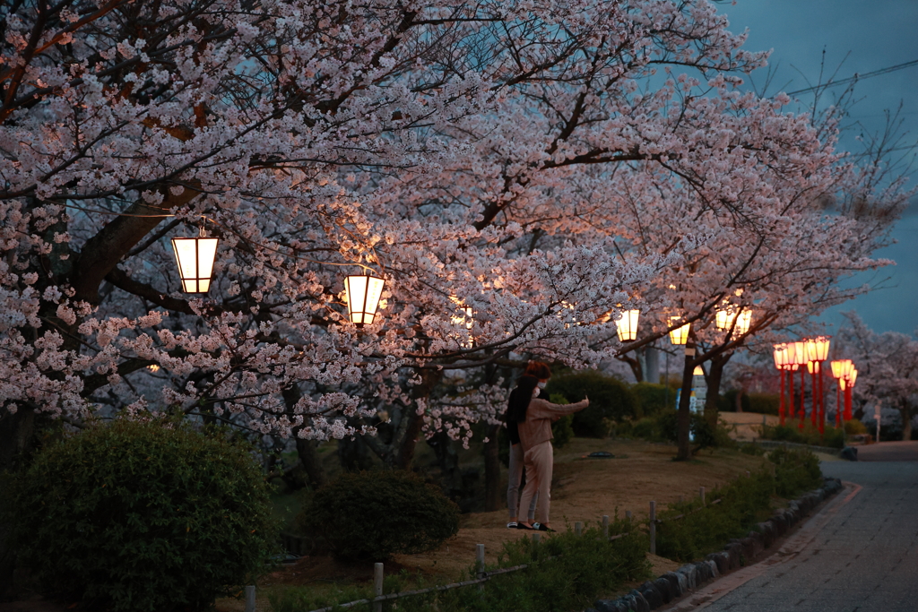 桜に包まれて 220331-015