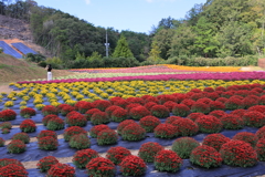 世羅高原農場 (5) 230929-4027