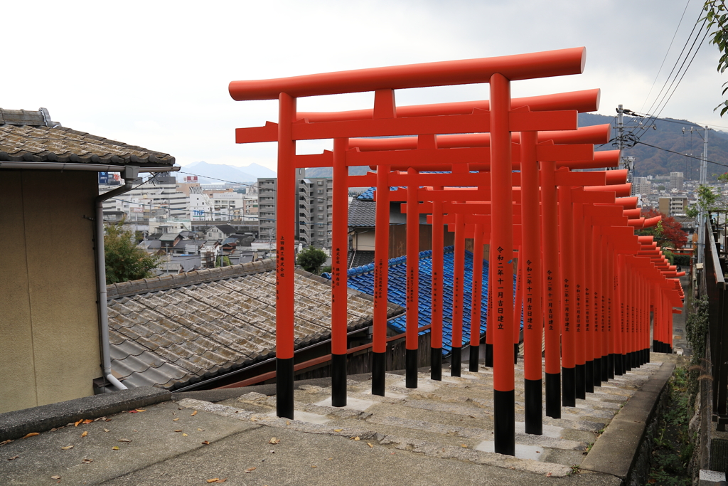 千本鳥居？ (3) 201120-388