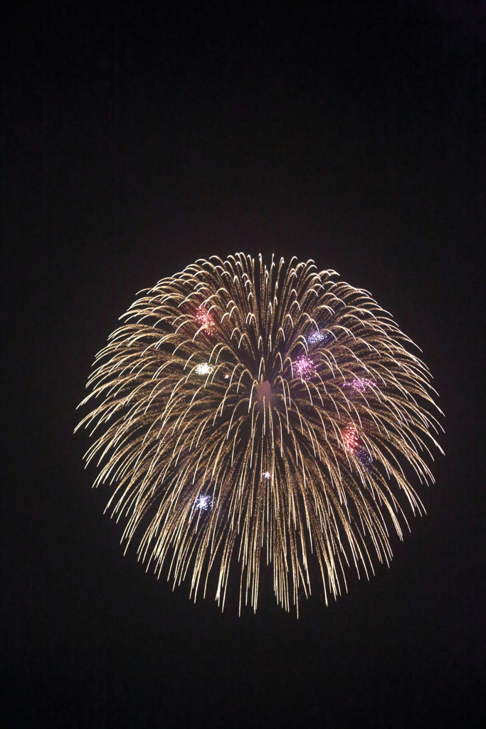 三原花火大会(1) 16.08.14