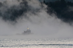 今朝の毛嵐(2) 181213-988