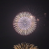 三原花火大会(4) 16.08.14