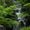 新緑の滝 220526-313