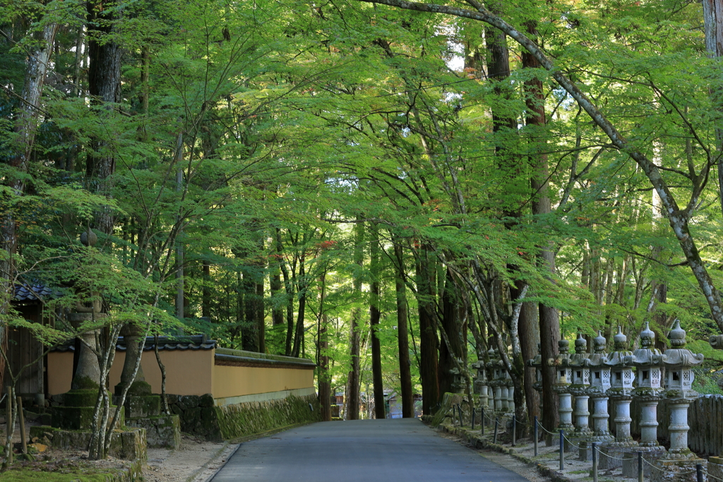 佛通寺(3) 211029-241 