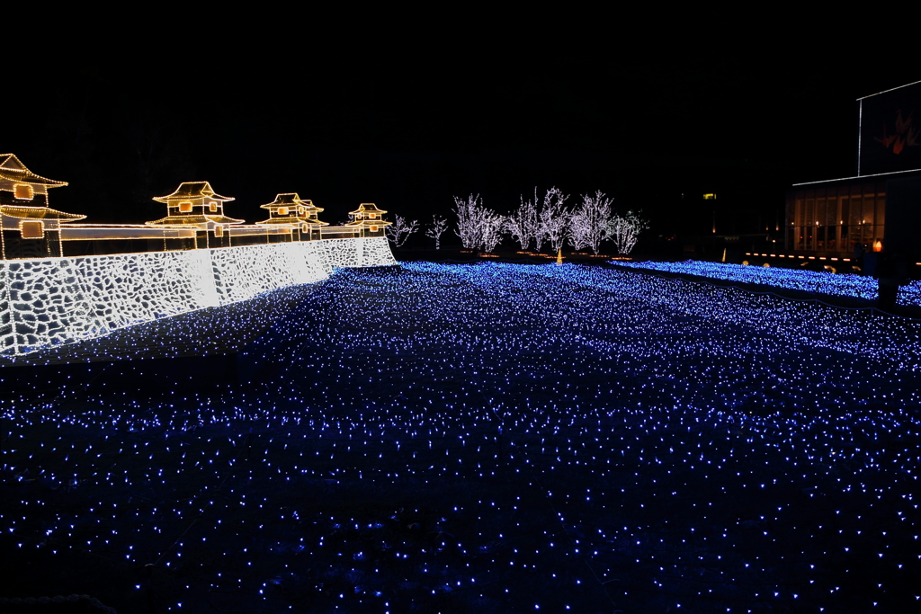 Winter Illumination(5) 16.11.30
