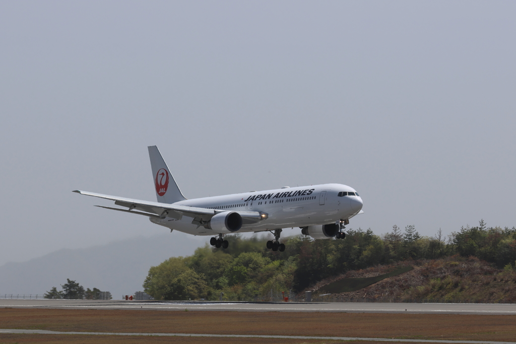 JAL landing 230413-369