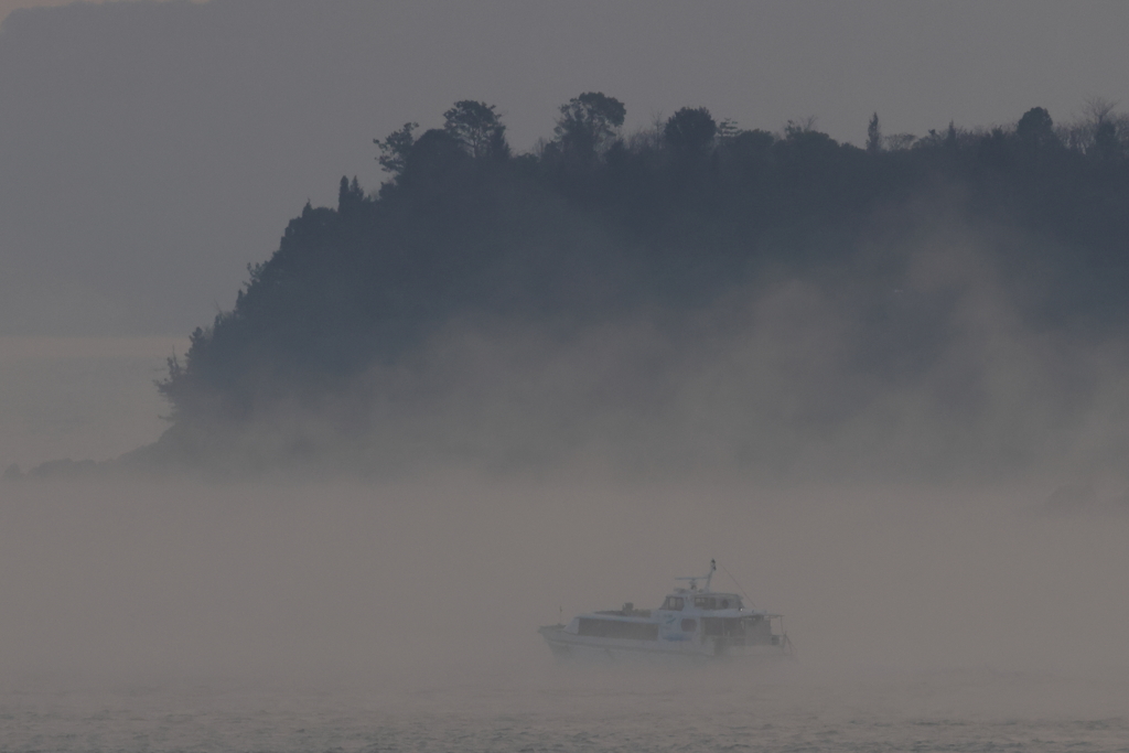 海霧の朝 231230-2011