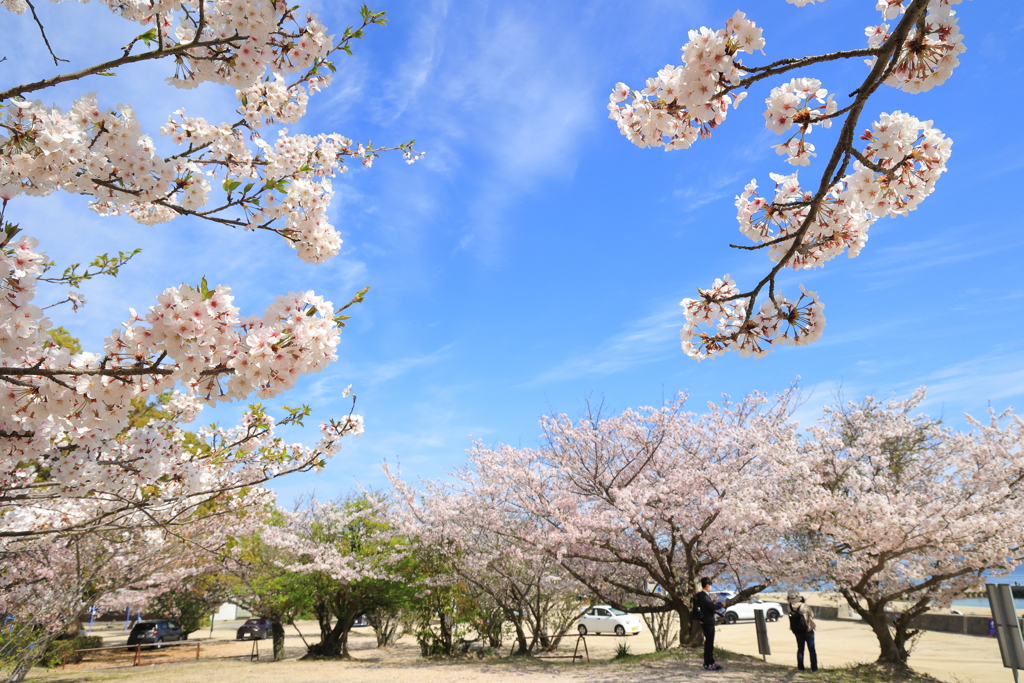 的場公園 (1) 240413-250