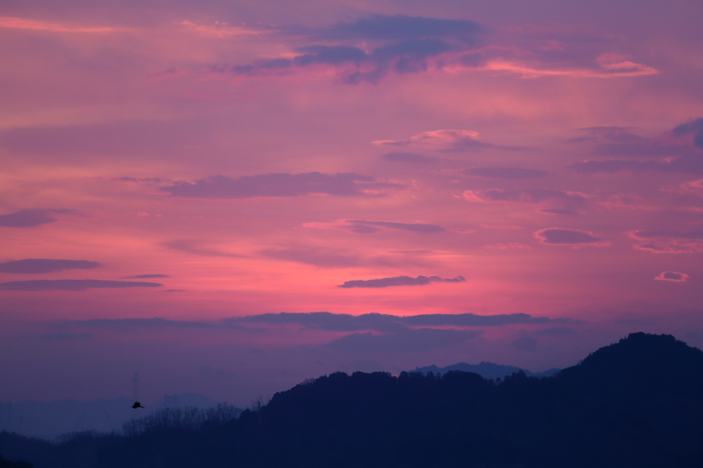 朝焼け (1) 16.03.06