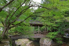 紅葉前の佛通寺 240924-414