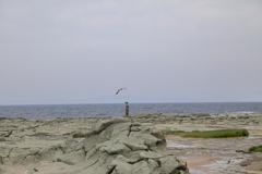 千畳敷(2) 千畳敷　190611-175