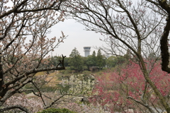 三景園 (7) 250327-793