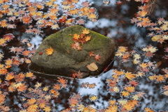 佛通寺(1) 16.11.21