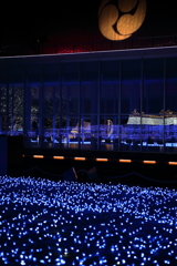 Winter Illumination (6) 16.11.30