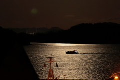 月明かり(2) 240226-666