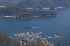 筆影山から (3) 250409-005