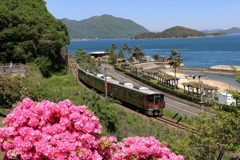 春の瀬戸内海 250424-398