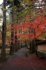 佛通寺 (3) 15.11.09