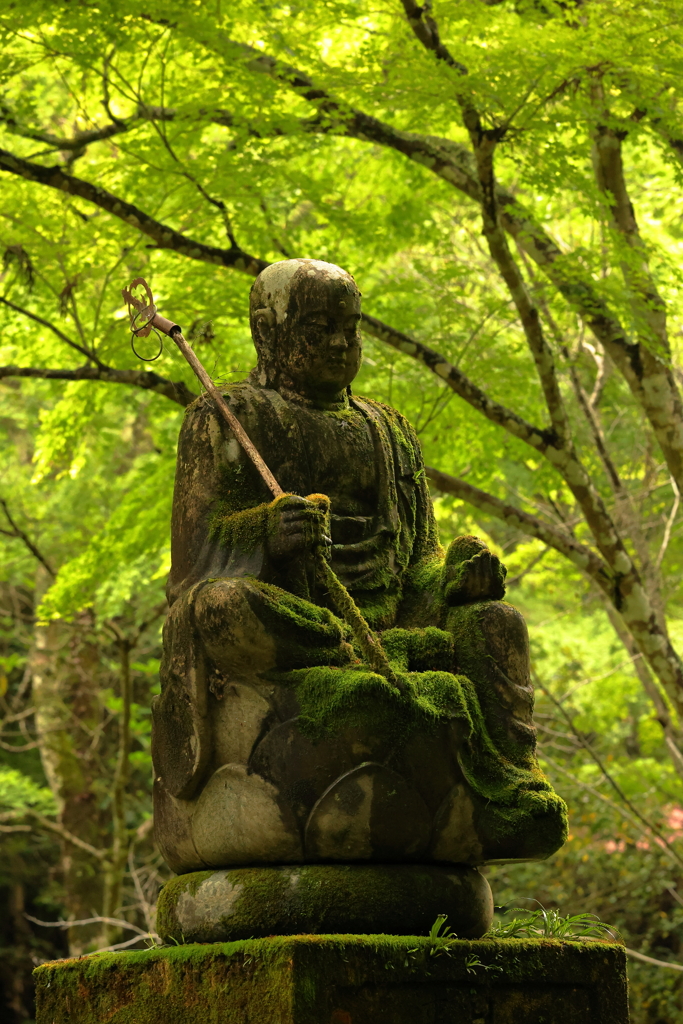 新緑の仏通寺(3) 220514-237