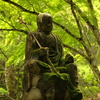 新緑の仏通寺(3) 220514-237
