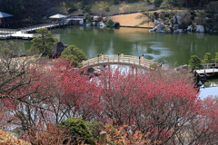 春近し(3) 220308-0892