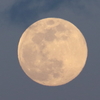 今宵の月  17.05.10