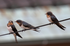 ジェラシー　15.07.04 