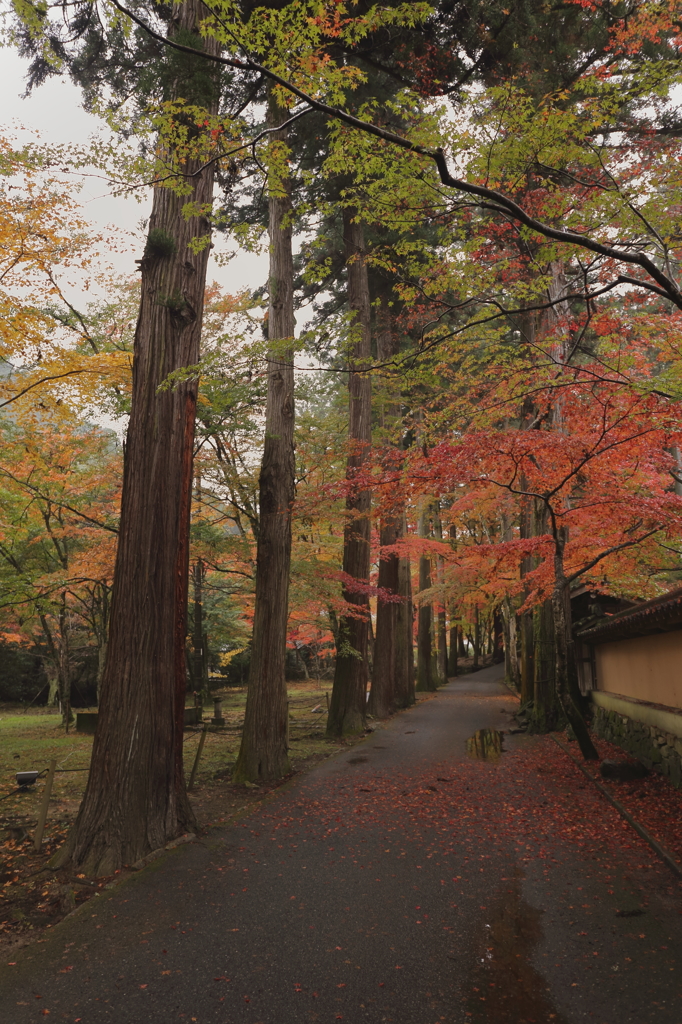 佛通寺 (8) 15.11.09