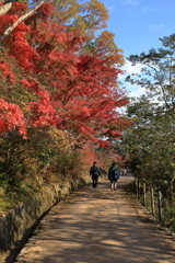 三景園 (6) 251114-152