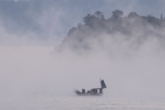 海霧の朝 251130-1040