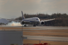 ANA landing 240116-345