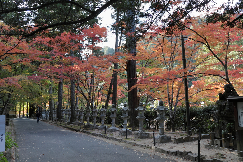 佛通寺(1)  181106-034