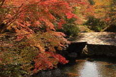 三郎の滝 (1) 31109-253