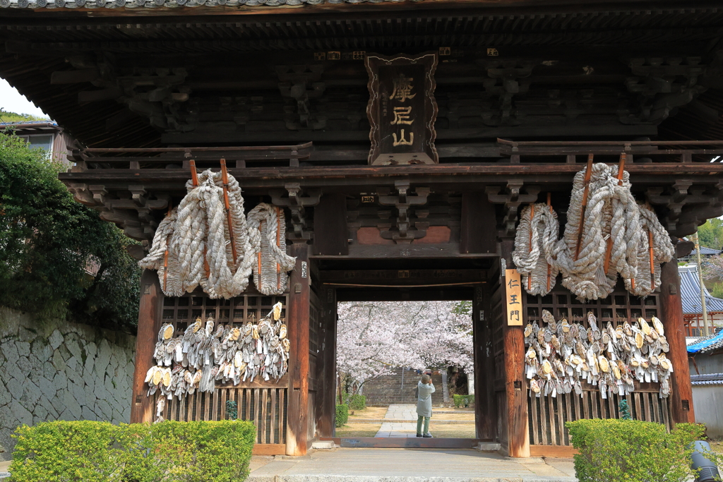 西国寺 (3) 240405-5009