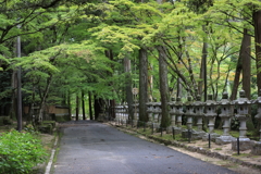 佛通寺(2)  181002-205