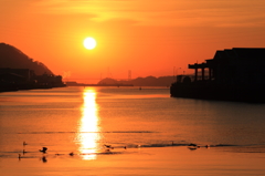 日の出 (4) 15.01.24