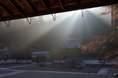 佛通寺 (5) 251130-329