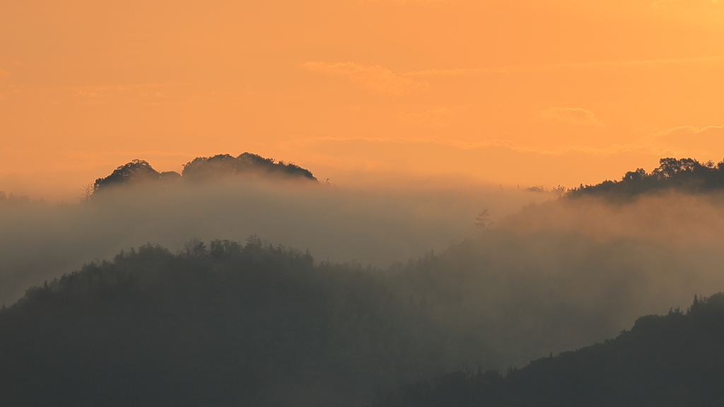 瀬戸内の海霧 (3) 251230-753