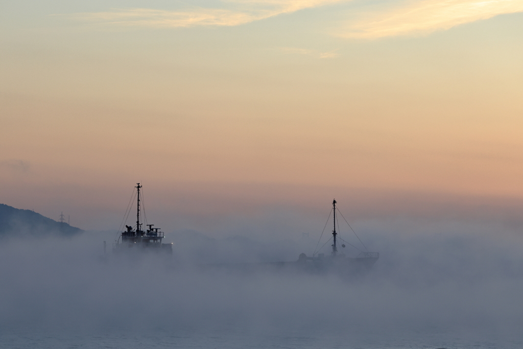 海霧の朝 (6) 251219-496