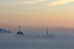 海霧の朝 (6) 251219-496