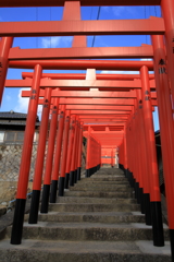 連立鳥居(2) 220113-363