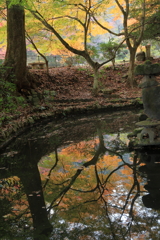 今高野山龍華寺 (11) 251121-266