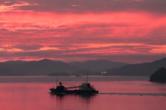 "怒り”の朝  180709-666